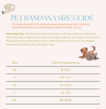 Park Day Denim Gingham Print Handmade Bandana