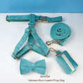 Load image into Gallery viewer, Turquoise Stone Velvet Set
