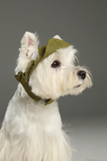 Load image into Gallery viewer, TENNIS HAT - GREEN