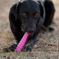 Load image into Gallery viewer, Black dog chewing on a pink unicorn horn-shaped nylon dog chew toy on grass. Durable for aggressive chewers.