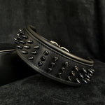 'Black Giant'' collar