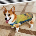 Load image into Gallery viewer, Van Gogh Cafe Terrace At Night Pet Vest