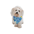 Load image into Gallery viewer, Van Gogh Starry Night Double-Sided Pet Bandana