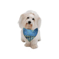 Load image into Gallery viewer, Van Gogh Starry Night Over The Rhone Double-Sided Pet Bandana