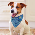 Load image into Gallery viewer, Van Gogh Starry Night Pet Scarf
