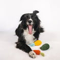 Load image into Gallery viewer, Organic Veggie Toys Bundle