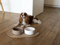 Load image into Gallery viewer, Ceramic Pet Bowl flair.pet