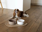 Ceramic Pet Bowl flair.pet
