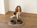 Ceramic Pet Bowl flair.pet