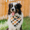 Load image into Gallery viewer, Tobacco Plaid Dog Bandana