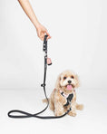 Load image into Gallery viewer, Wander! Multiway Leash - Ballerina
