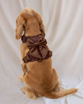 Load image into Gallery viewer, Wander! Bow Harness 2.0 - Cocoa