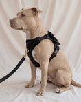 Load image into Gallery viewer, Wander! Bow Harness 2.0 - Midnight