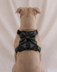 Load image into Gallery viewer, Wander! Bow Harness 2.0 - Midnight