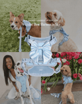 Load image into Gallery viewer, Wander! Bow Harness Sky