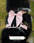Load image into Gallery viewer, Wander! Bow Harness Ballerina