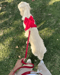 Load image into Gallery viewer, Wander! Multiway Leash - Cherry