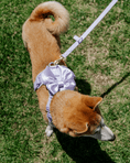 Load image into Gallery viewer, Wander! Multiway Leash - Lilac