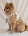 Load image into Gallery viewer, Wander! Multiway Leash - Pearl
