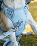 Load image into Gallery viewer, Wander! Bow Harness Sky