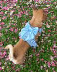Load image into Gallery viewer, Wander! Bow Harness Sky