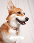 Load image into Gallery viewer, Wander! Collar 2.0 - Blossom Gingham