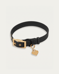Load image into Gallery viewer, Wander! Collar 2.0 - Midnight