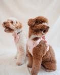 Load image into Gallery viewer, Satin Collar Bow - Blossom