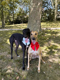 Load image into Gallery viewer, Satin Collar Bow - Sky