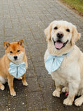 Load image into Gallery viewer, Satin Collar Bow - Sky