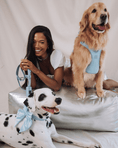 Load image into Gallery viewer, Satin Collar Bow - Sky