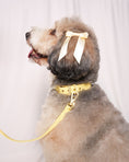 Load image into Gallery viewer, Wander! Collar 2.0 - Buttercream