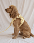 Load image into Gallery viewer, Wander! Multiway Leash - Buttercream