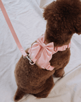 Load image into Gallery viewer, Wander! Multiway Leash - Blossom