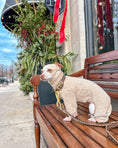 Load image into Gallery viewer, Wander! Multiway Leash - Leopard