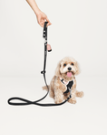 Load image into Gallery viewer, Wander! Multiway Leash & Poop Pouch Ballerina