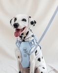Load image into Gallery viewer, Wander! Multiway Leash - Sky