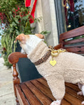 Load image into Gallery viewer, Wander! Waterproof Collar - Leopard