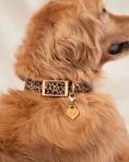 Load image into Gallery viewer, Wander! Waterproof Collar - Leopard