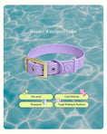 Load image into Gallery viewer, Wander! Waterproof Collar - Lilac