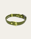 Load image into Gallery viewer, Wander! Waterproof Collar - Martini