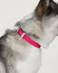 Load image into Gallery viewer, Wander! Waterproof Collar - Bubblegum