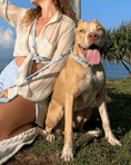 Load image into Gallery viewer, Wander! Waterproof Collar - Sky