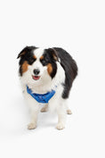 Load image into Gallery viewer, Step In Dog Harness - Southlake Paws