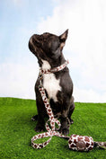 Load image into Gallery viewer, Chocolate Cow Leash