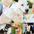 Load image into Gallery viewer, White Wedding Velvet Set