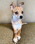 Load image into Gallery viewer, FLORAL BANDANA - Southlake Paws