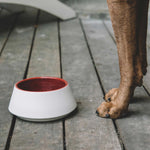 White and red ceramic dog bowl