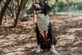 Load image into Gallery viewer, Limoncello Dog Bandana