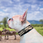 Zebra Sambboho dog collar (animal print collection)